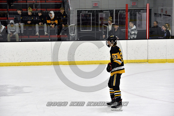 _GSP3033 (Copy)