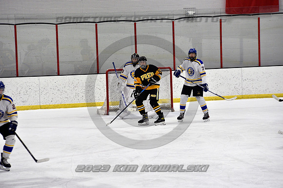 _GSP2919 (Copy)