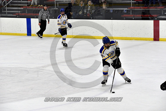 _GSP3034 (Copy)