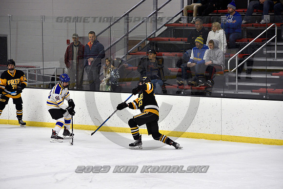 _GSP2959 (Copy)