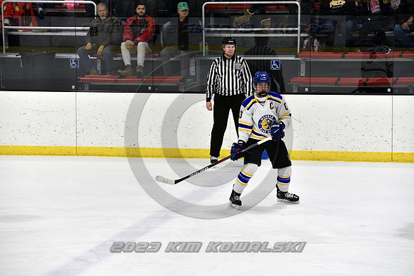 _GSP3037 (Copy)
