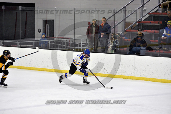 _GSP2961 (Copy)