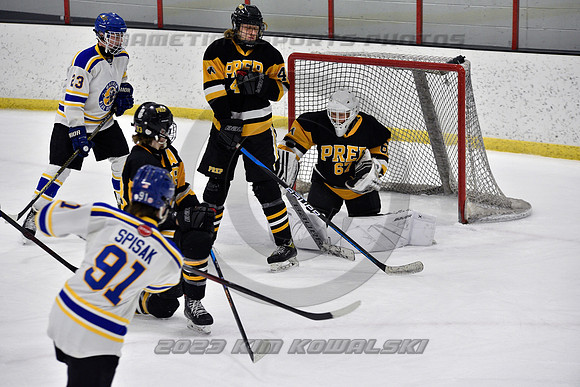 _GSP3038 (Copy)