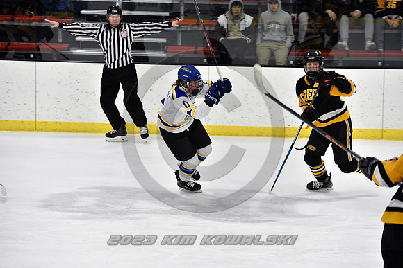 _GSP2963 (Copy)
