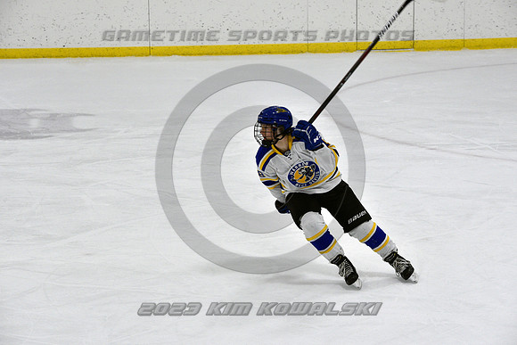 _GSP2924 (Copy)
