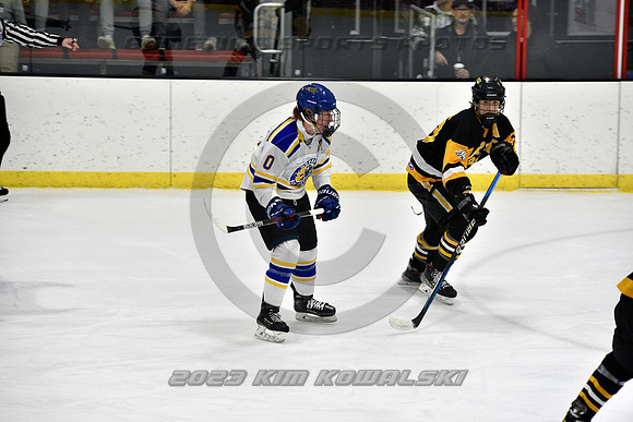 _GSP2964 (Copy)