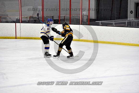 _GSP2931 (Copy)