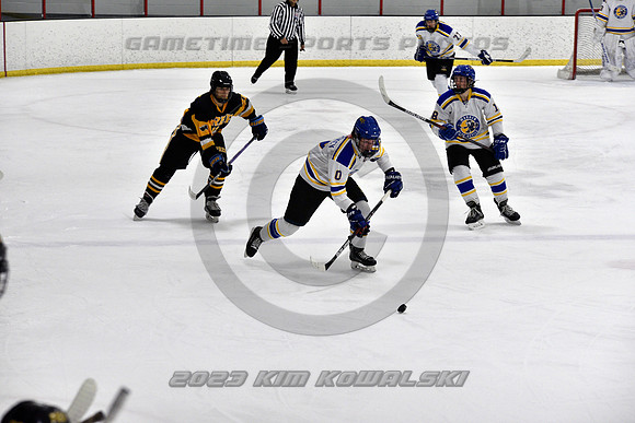 _GSP2933 (Copy)