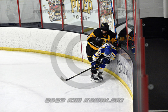_GSP3048 (Copy)