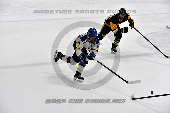 _GSP2934 (Copy)
