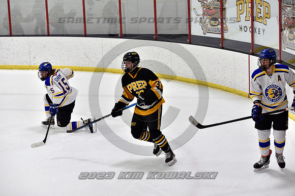 _GSP3012 (Copy)