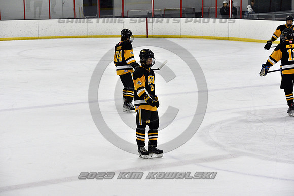 _GSP3063 (Copy)