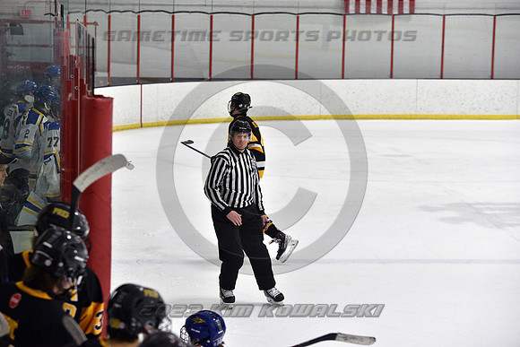 _GSP3096 (Copy)