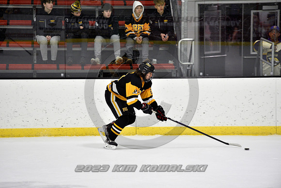 _GSP3177 (Copy)