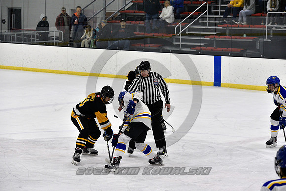 _GSP3065 (Copy)