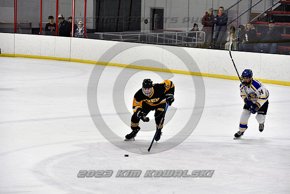 _GSP3099 (Copy)