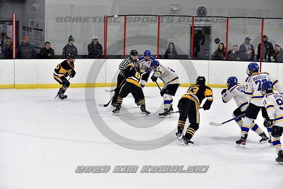 _GSP3319 (Copy)