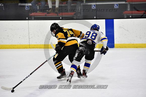 _GSP3180 (Copy)