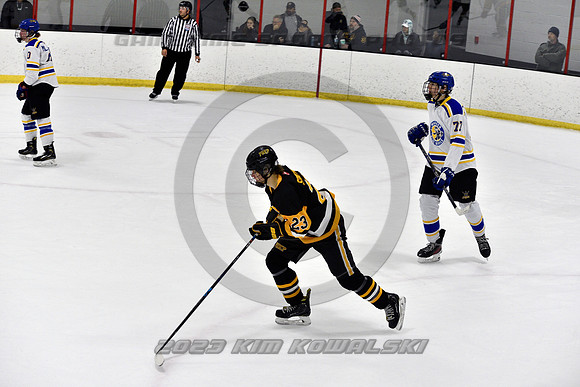 _GSP3281 (Copy)