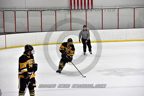 _GSP3141 (Copy)