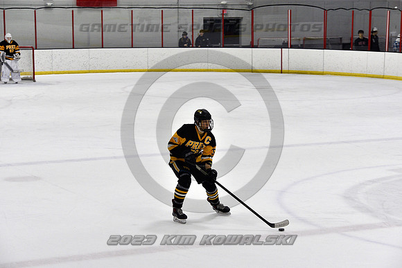 _GSP3142 (Copy)