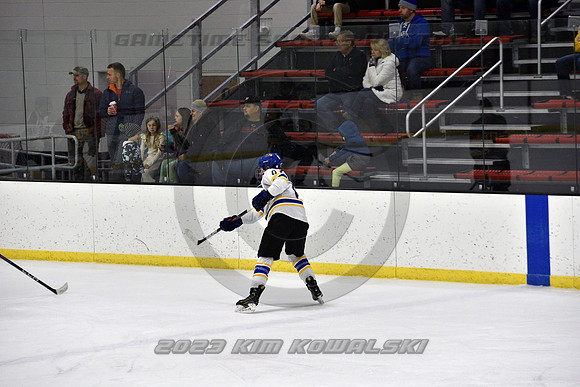 _GSP3071 (Copy)