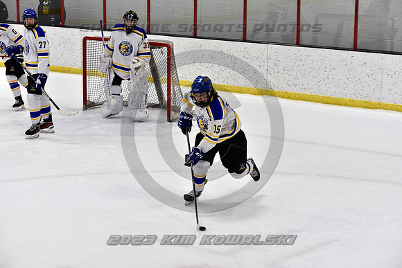 _GSP3107 (Copy)