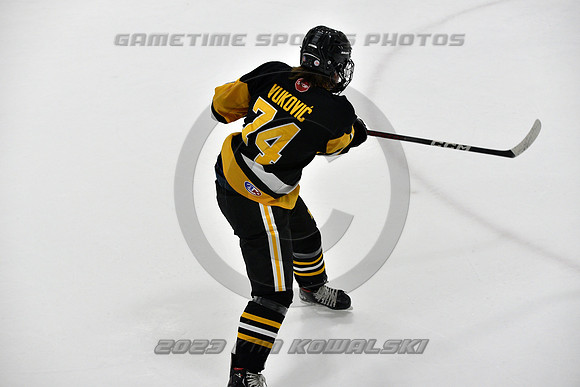 _GSP3185 (Copy)