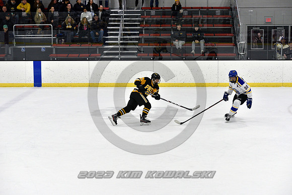 _GSP3219 (Copy)