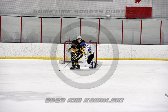 _GSP3252 (Copy)