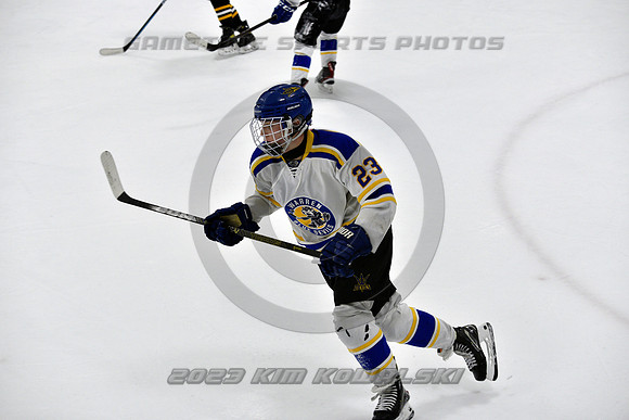 _GSP3186 (Copy)