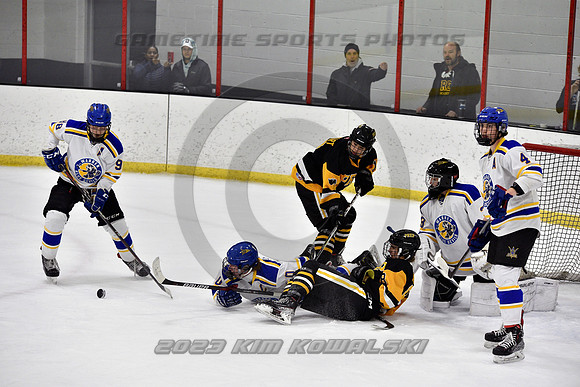 _GSP3147 (Copy)