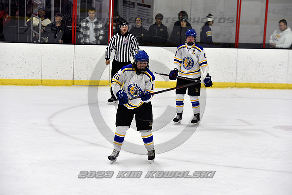 _GSP3111 (Copy)