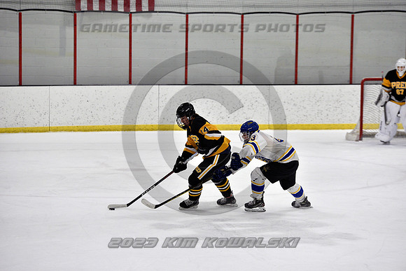 _GSP3187 (Copy)