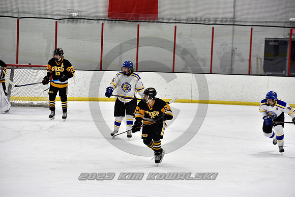 _GSP3113 (Copy)