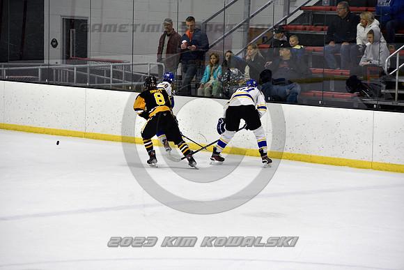 _GSP3290 (Copy)