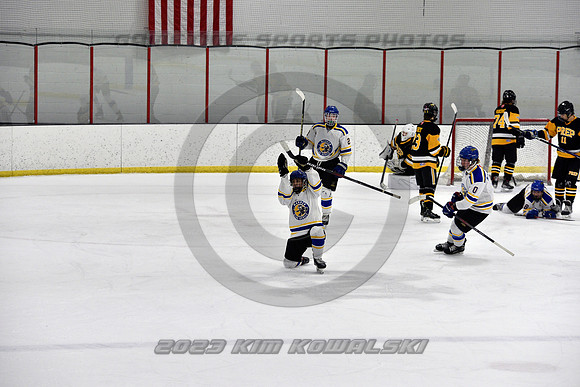 _GSP3077 (Copy)