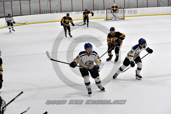 _GSP3223 (Copy)
