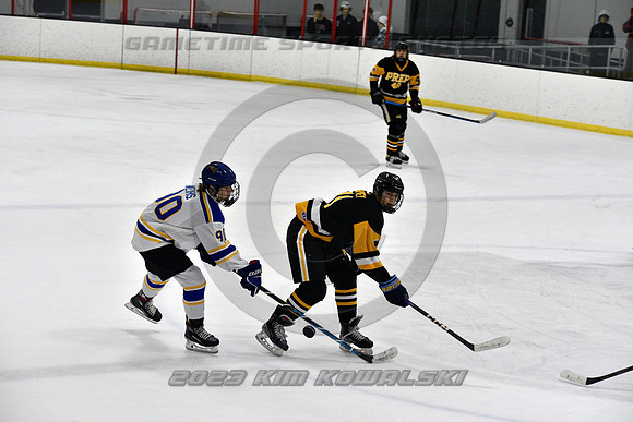 _GSP3115 (Copy)