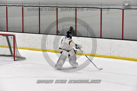_GSP3224 (Copy)