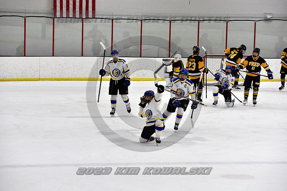 _GSP3079 (Copy)