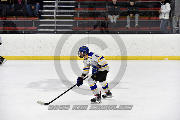 _GSP3225 (Copy)