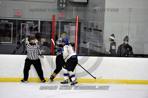_GSP3117 (Copy)