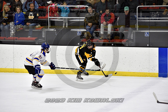 _GSP3294 (Copy)