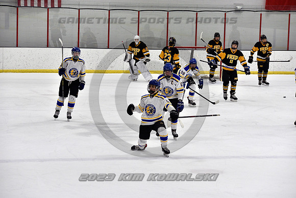 _GSP3081 (Copy)