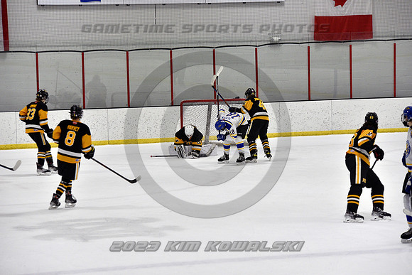 _GSP3334 (Copy)