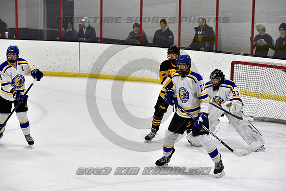 _GSP3156 (Copy)