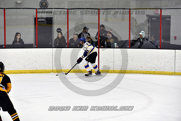 _GSP3298 (Copy)
