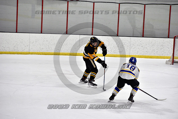 _GSP3196 (Copy)