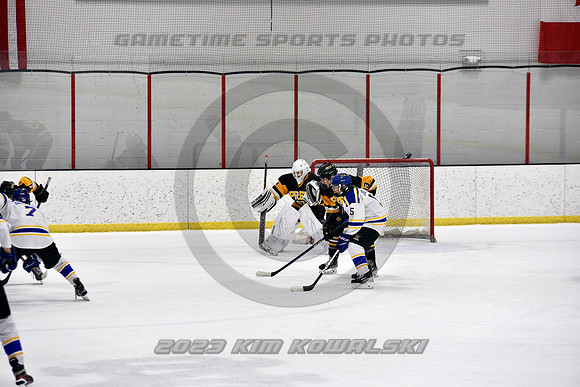 _GSP3231 (Copy)